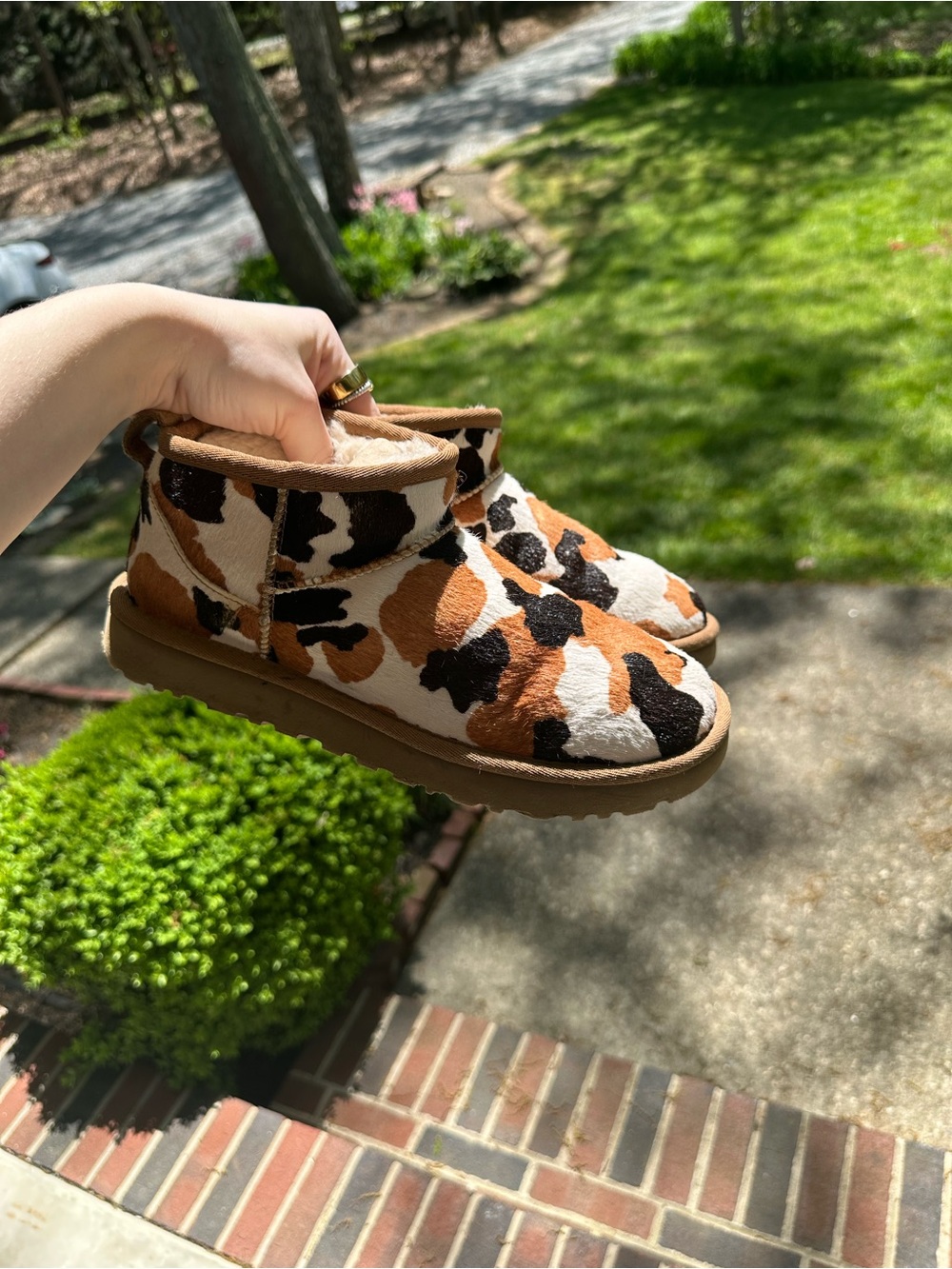UGG Cow Print Classic Ultra Mini Boot in White, Brown & Black